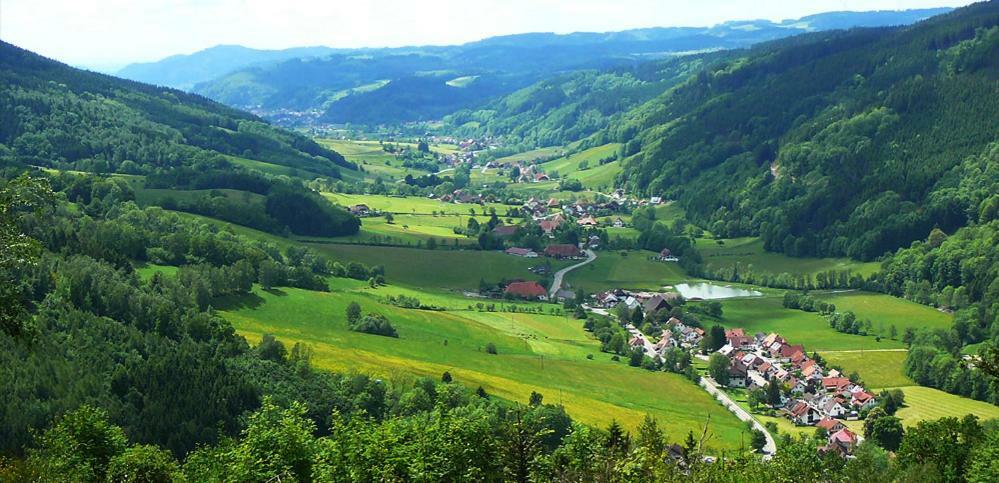 Schwarzwaldhaus Apartman Elzach Kültér fotó